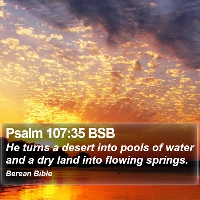 Psalm 107:35 BSB Bible Verse Image
