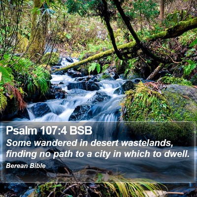 Psalm 107:4 BSB Bible Verse Image