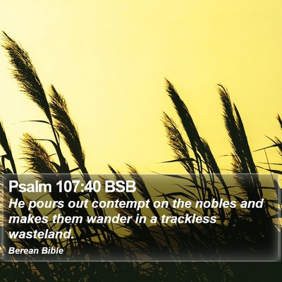 Psalm 107:40 BSB Bible Verse Image