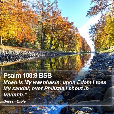 Psalm 108:9 BSB Bible Verse Image