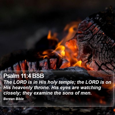Psalm 11:4 BSB Bible Verse Image