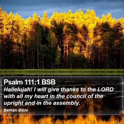 Psalm 111:1 BSB Bible Verse Image