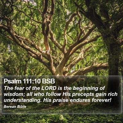 Psalm 111:10 BSB Bible Verse Image