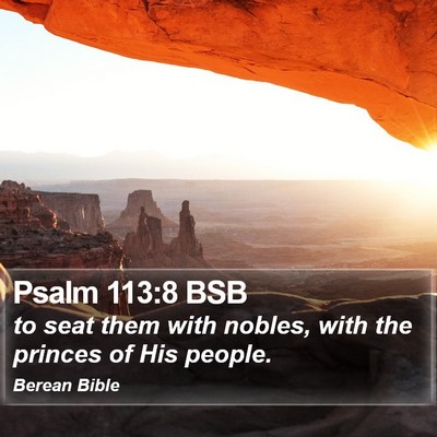 Psalm 113:8 BSB Bible Verse Image