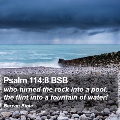 Psalm 114:8 BSB Bible Verse Image
