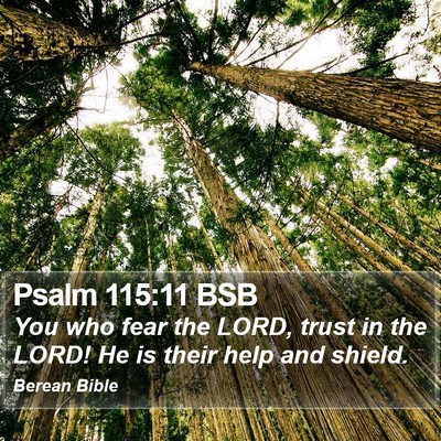 Psalm 115:11 BSB Bible Verse Image