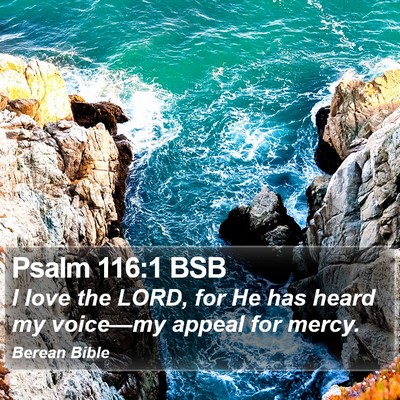 Psalm 116:1 BSB Bible Verse Image