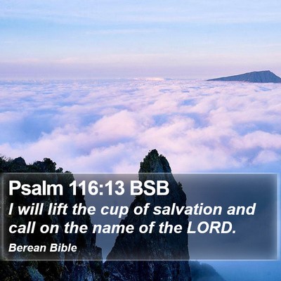 Psalm 116:13 BSB Bible Verse Image