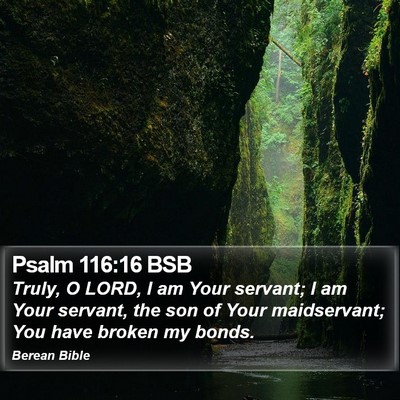 Psalm 116:16 BSB Bible Verse Image