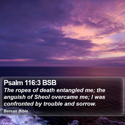 Psalm 116:3 BSB Bible Verse Image