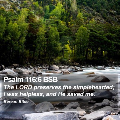 Psalm 116:6 BSB Bible Verse Image
