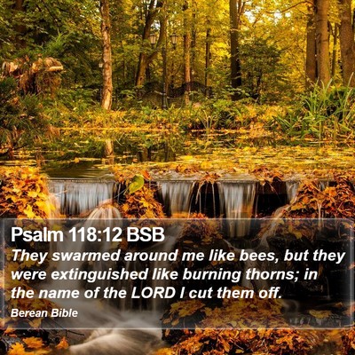 Psalm 118:12 BSB Bible Verse Image