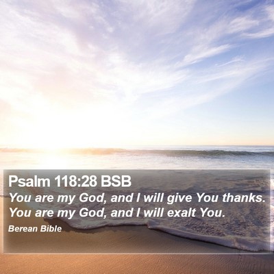 Psalm 118:28 BSB Bible Verse Image