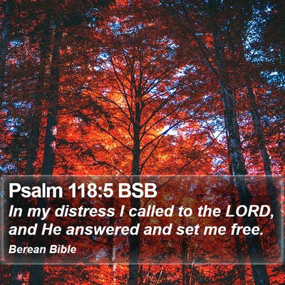Psalm 118:5 BSB Bible Verse Image
