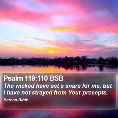 Psalm 119:110 BSB Bible Verse Image