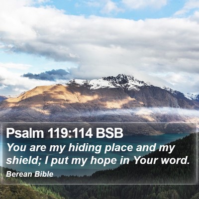 Psalm 119:114 BSB Bible Verse Image