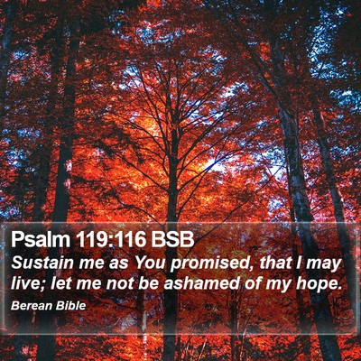 Psalm 119:116 BSB Bible Verse Image