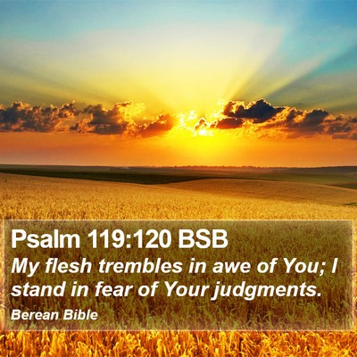 Psalm 119:120 BSB Bible Verse Image
