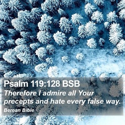 Psalm 119:128 BSB Bible Verse Image