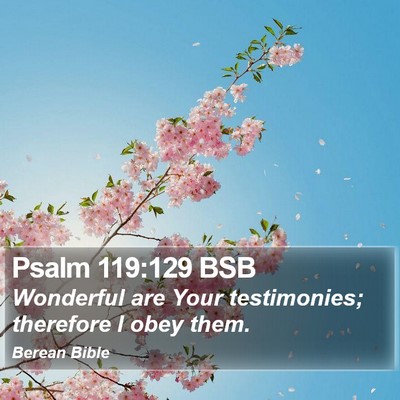Psalm 119:129 BSB Bible Verse Image