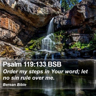 Psalm 119:133 BSB Bible Verse Image