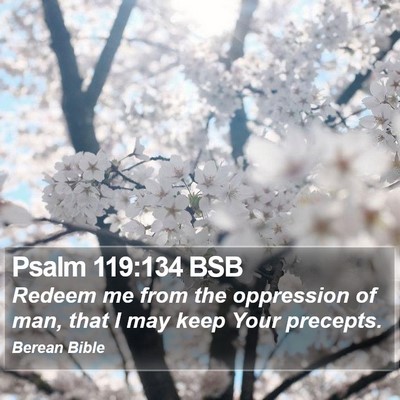 Psalm 119:134 BSB Bible Verse Image