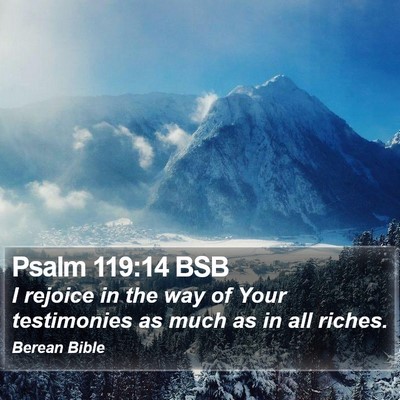 Psalm 119:14 BSB Bible Verse Image