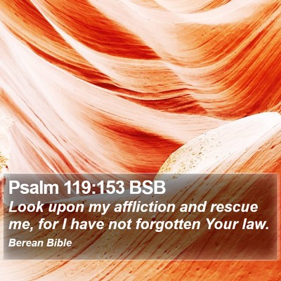 Psalm 119:153 BSB Bible Verse Image