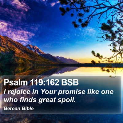 Psalm 119:162 BSB Bible Verse Image