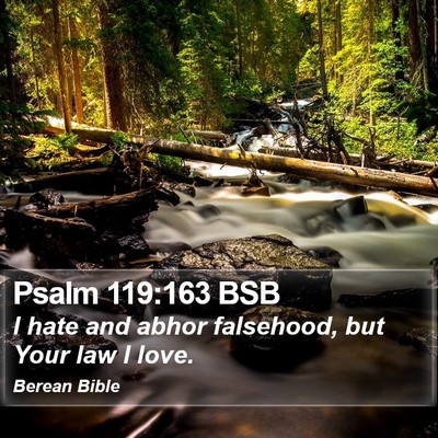 Psalm 119:163 BSB Bible Verse Image