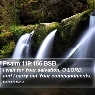Psalm 119:166 BSB Bible Verse Image
