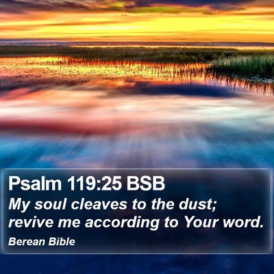 Psalm 119:25 BSB Bible Verse Image