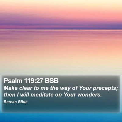Psalm 119:27 BSB Bible Verse Image