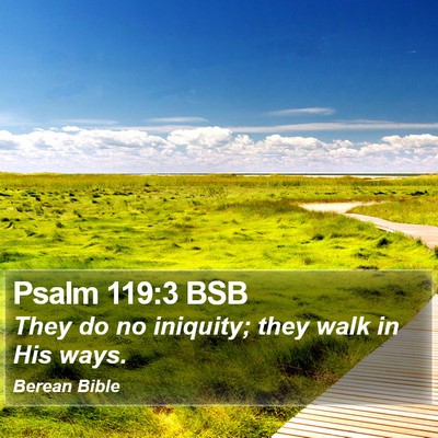 Psalm 119:3 BSB Bible Verse Image