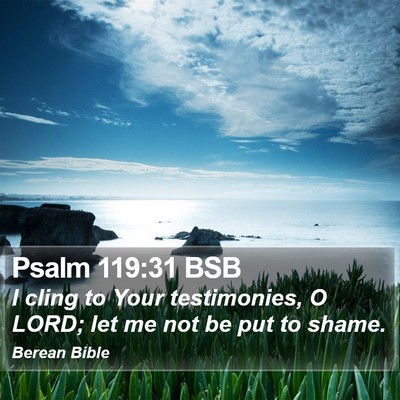 Psalm 119:31 BSB Bible Verse Image