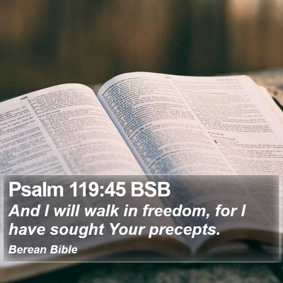 Psalm 119:45 BSB Bible Verse Image