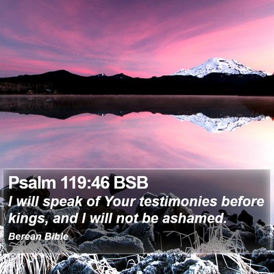 Psalm 119:46 BSB Bible Verse Image
