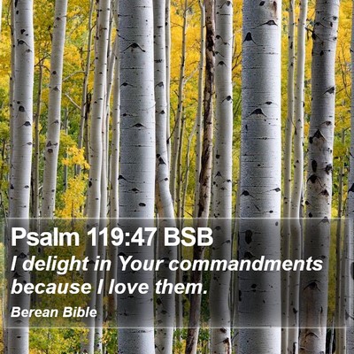 Psalm 119:47 BSB Bible Verse Image
