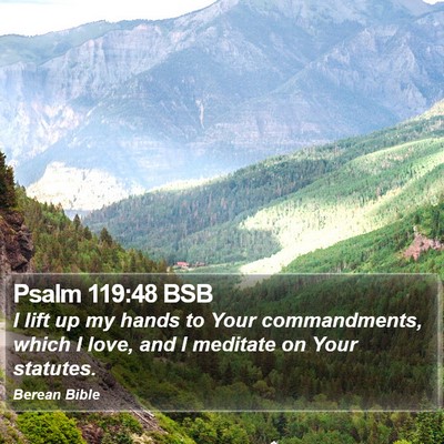 Psalm 119:48 BSB Bible Verse Image