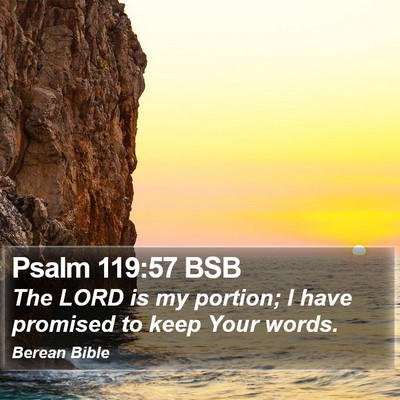 Psalm 119:57 BSB Bible Verse Image