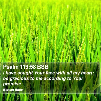 Psalm 119:58 BSB Bible Verse Image