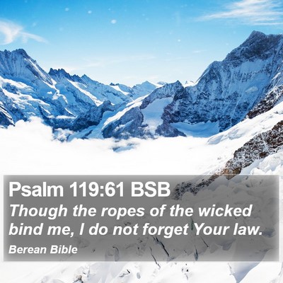 Psalm 119:61 BSB Bible Verse Image