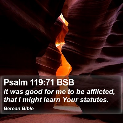 Psalm 119:71 BSB Bible Verse Image