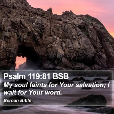 Psalm 119:81 BSB Bible Verse Image