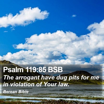 Psalm 119:85 BSB Bible Verse Image
