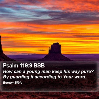 Psalm 119:9 BSB Bible Verse Image