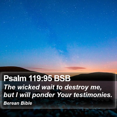Psalm 119:95 BSB Bible Verse Image