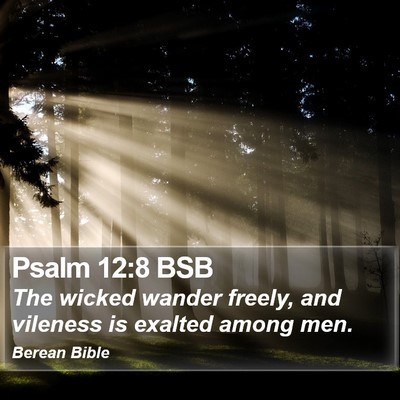 Psalm 12:8 BSB Bible Verse Image