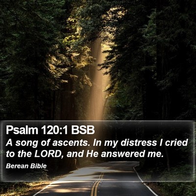 Psalm 120:1 BSB Bible Verse Image