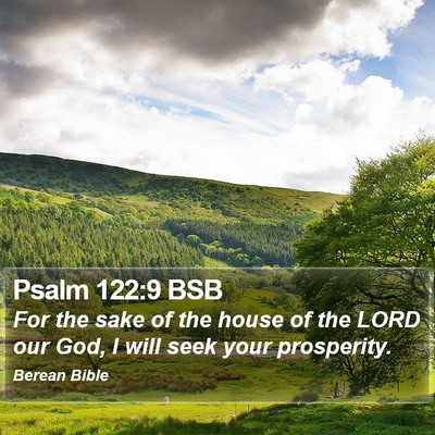 Psalm 122:9 BSB Bible Verse Image